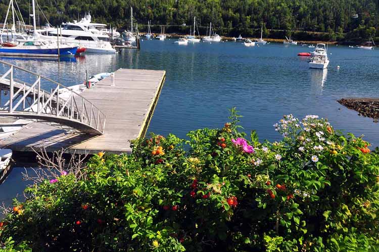 harbor